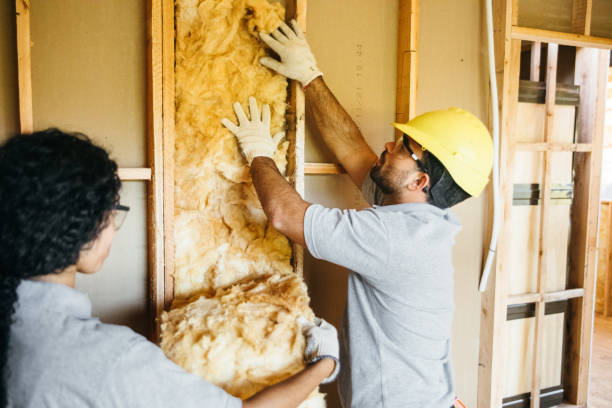 Best Fiberglass Insulation  in Wilmington, OH