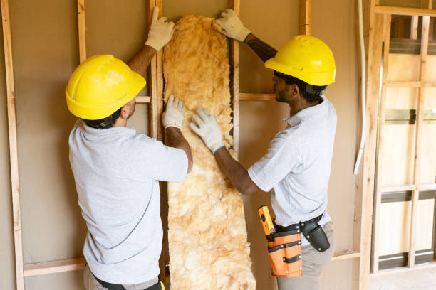 Best Wall Insulation Contractor  in Wilmington, OH