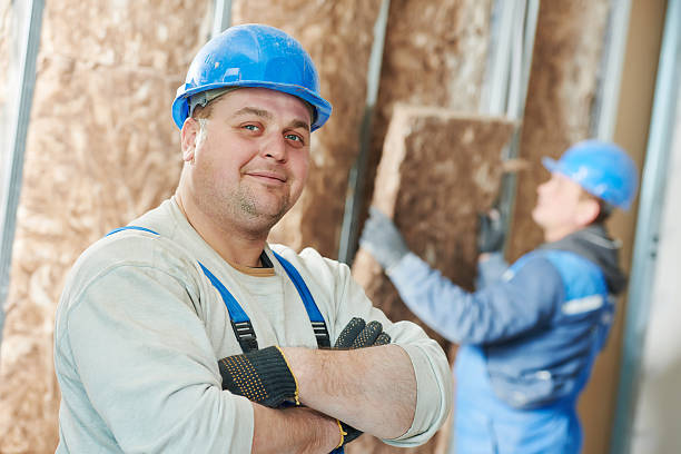 Best Insulation Replacement Services  in Wilmington, OH